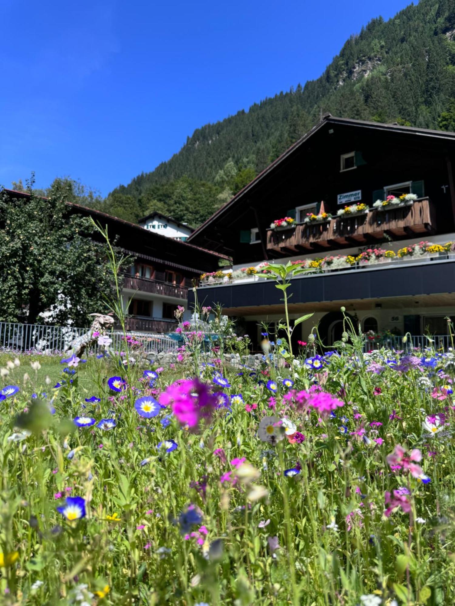 Haus Am Rain Bed & Breakfast Partenen Dış mekan fotoğraf