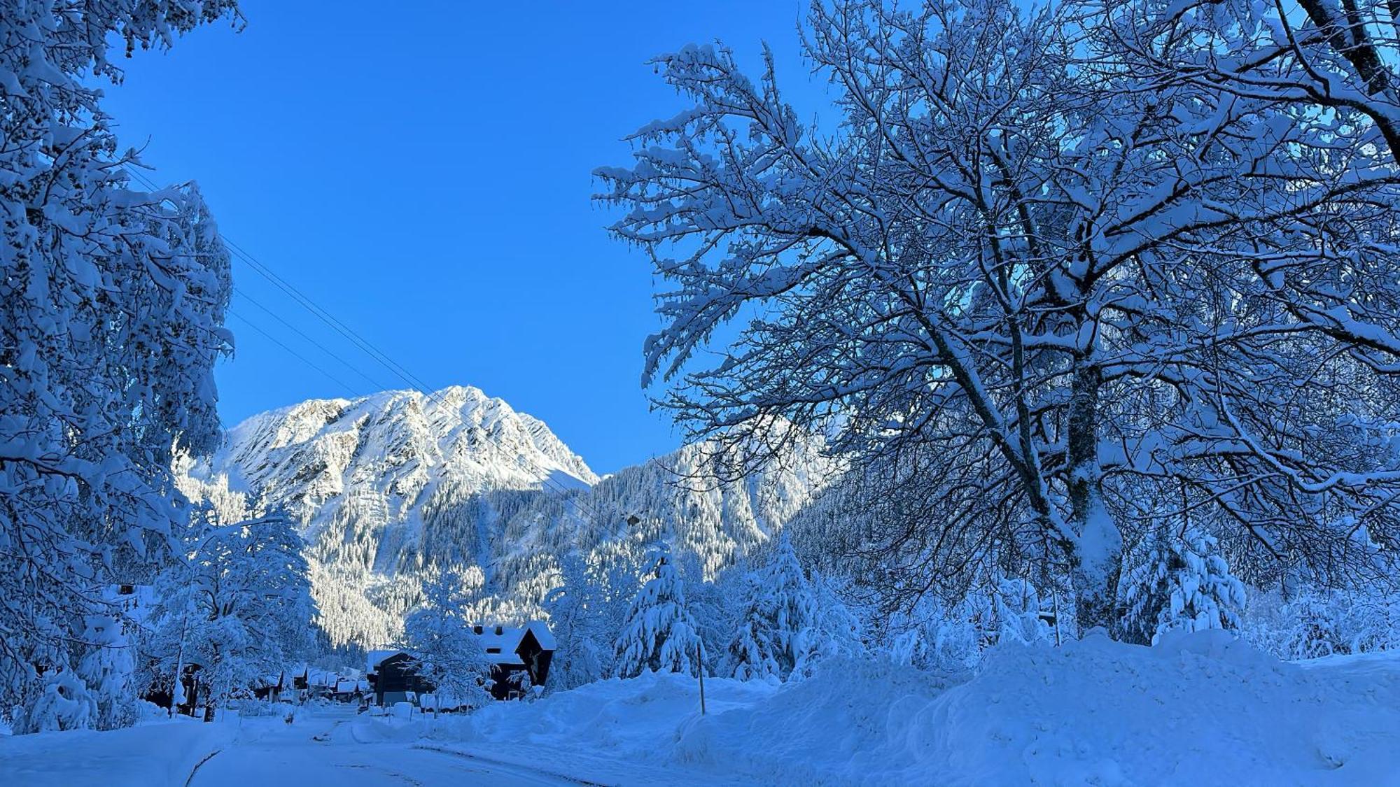Haus Am Rain Bed & Breakfast Partenen Dış mekan fotoğraf