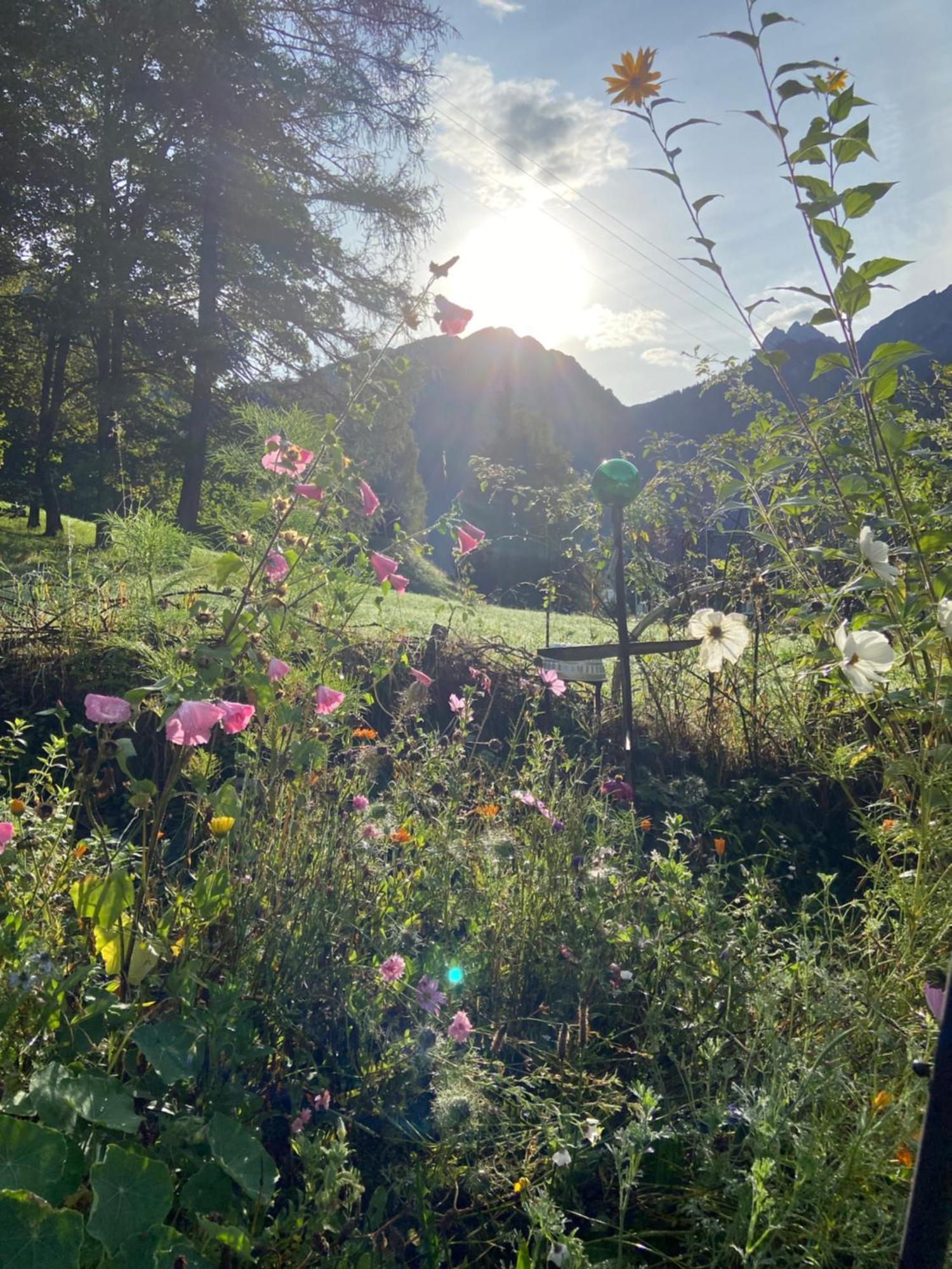 Haus Am Rain Bed & Breakfast Partenen Dış mekan fotoğraf