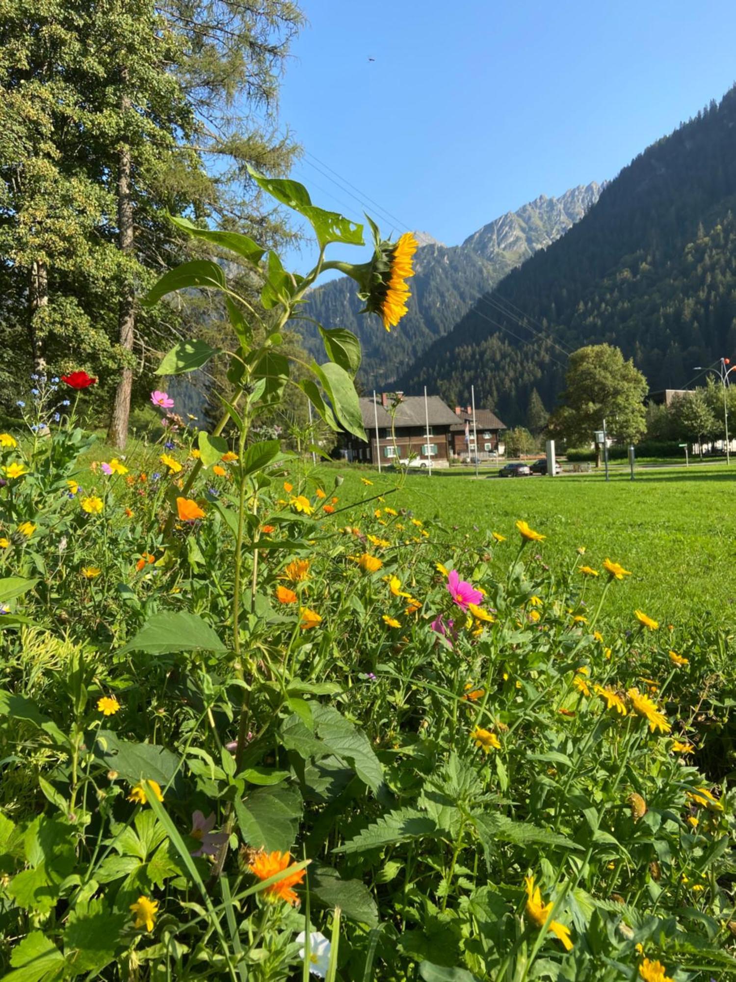 Haus Am Rain Bed & Breakfast Partenen Dış mekan fotoğraf