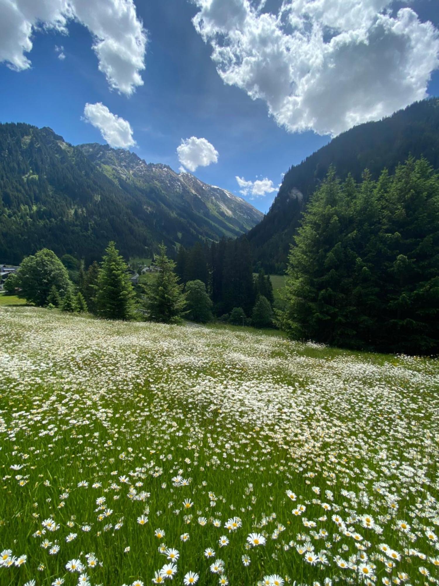 Haus Am Rain Bed & Breakfast Partenen Dış mekan fotoğraf